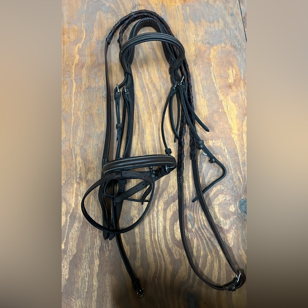 ExionPro Bridle and Reins